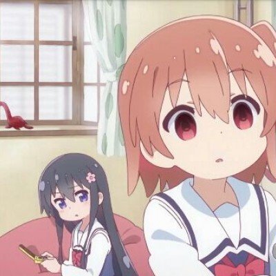 女子回应鸭子养在公园被两男子偷吃